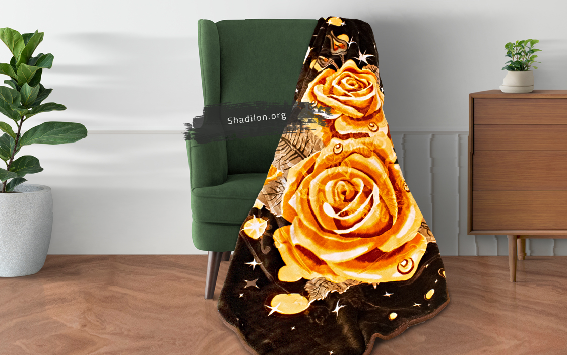 canape-2-1.jpg